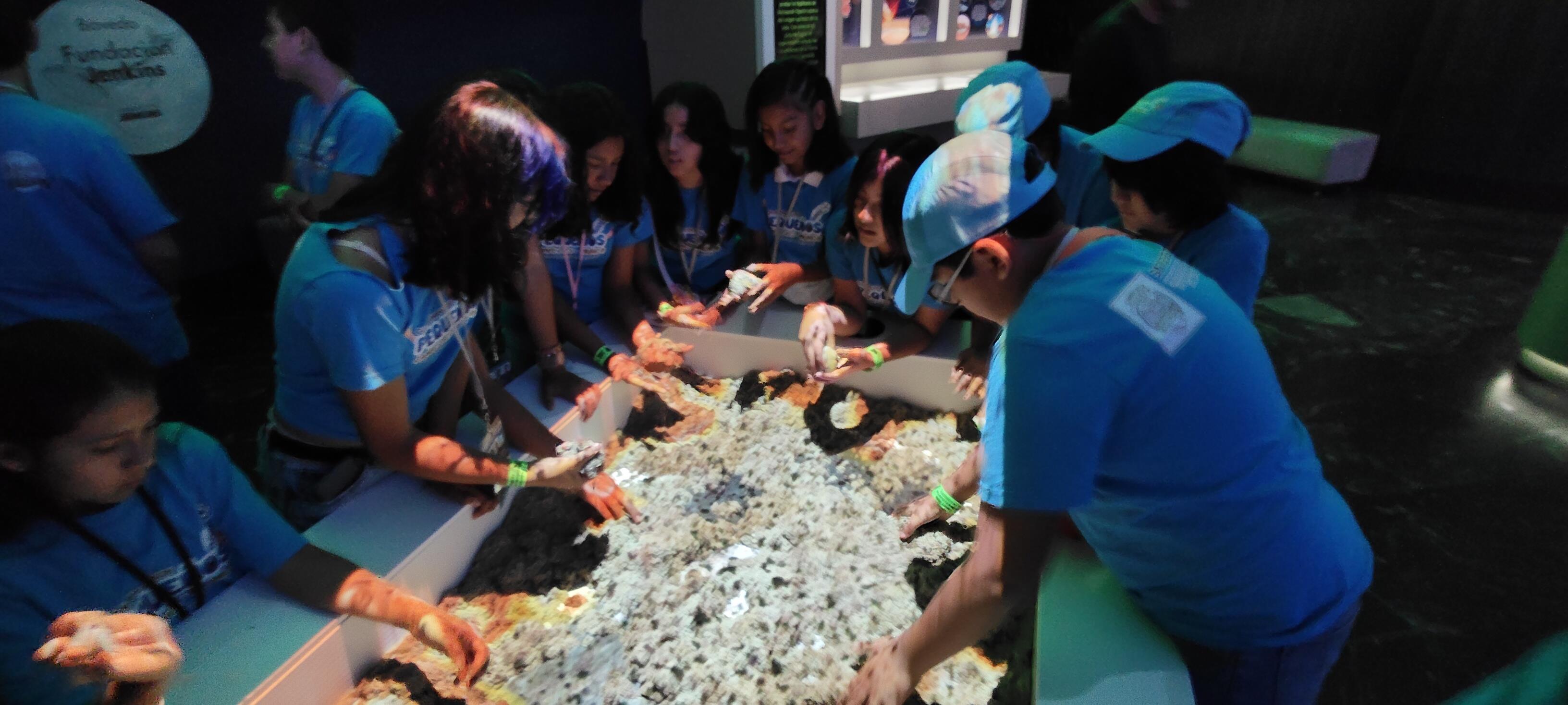 Curso de verano SNTISSSTE, Visita al Museo de Historia Natural